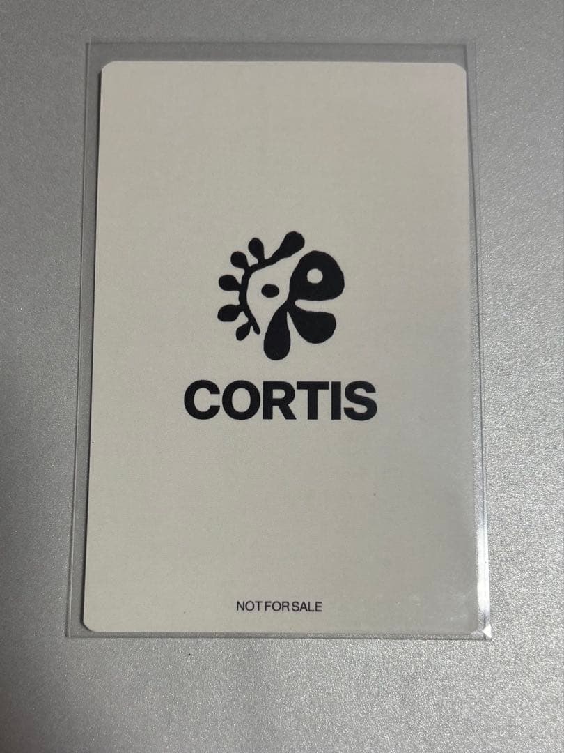 マーティン CORTIS TSUTAYA 特典 トレカ