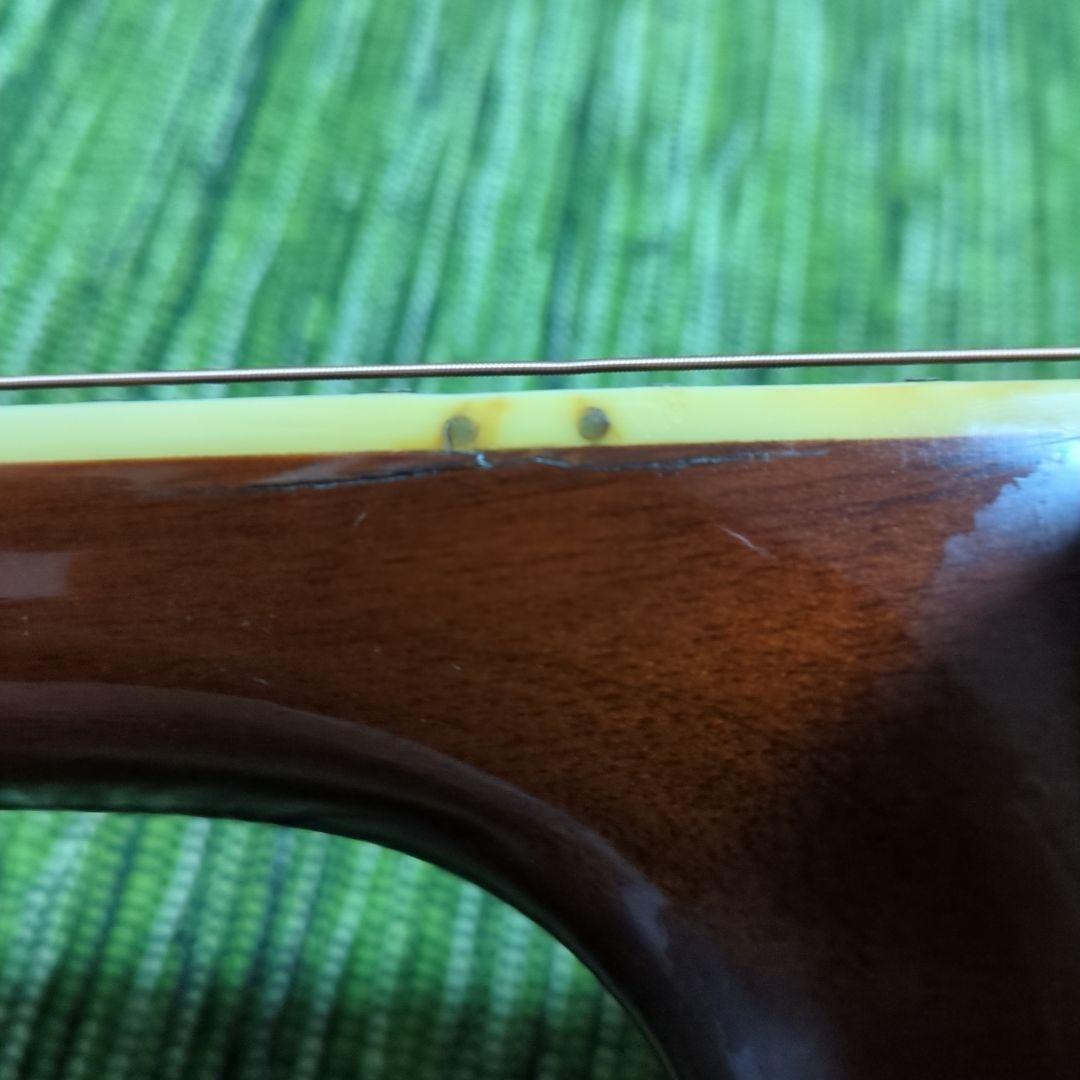 ギター TF MORRIS W50