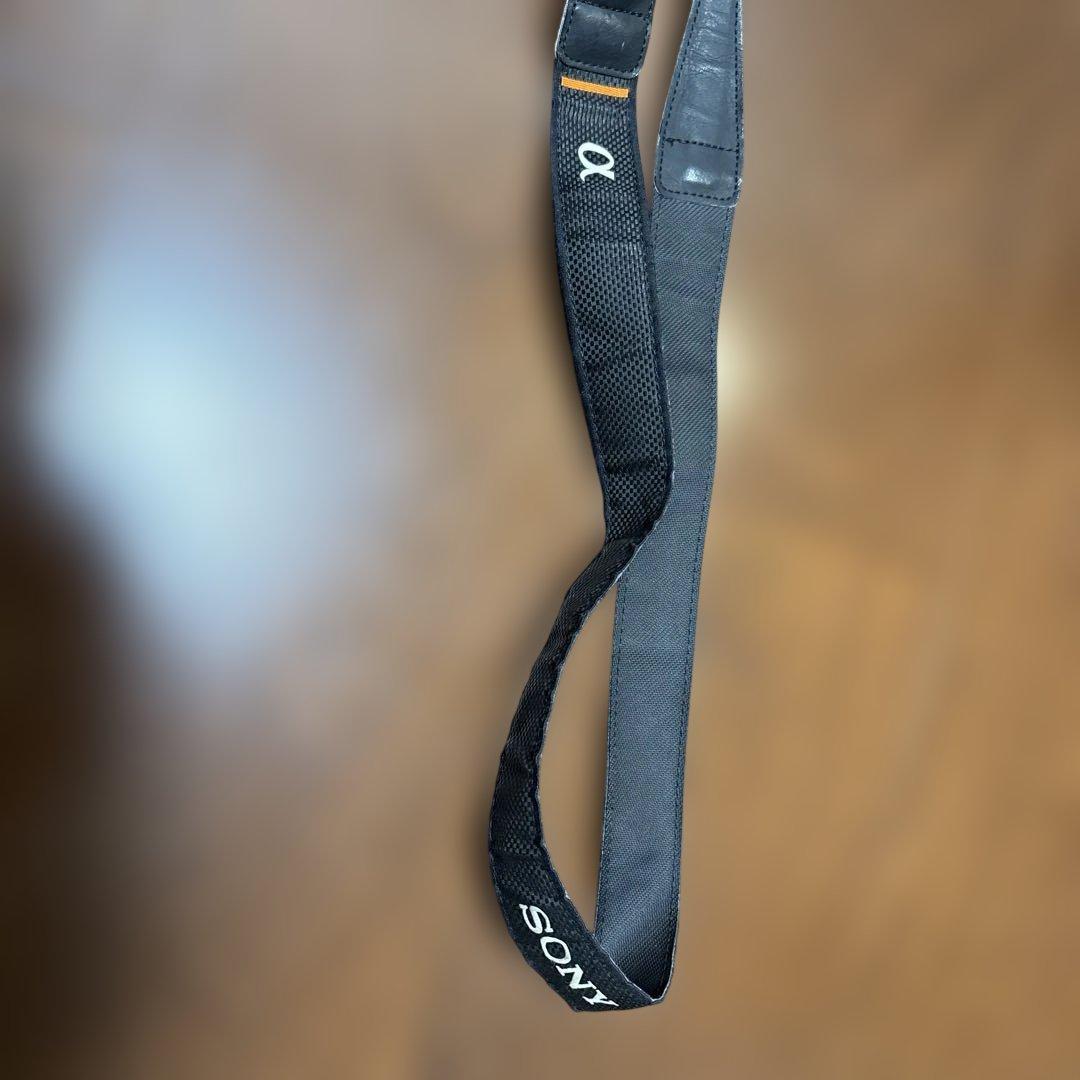 α6000 SONYミラーレス一眼カメラ