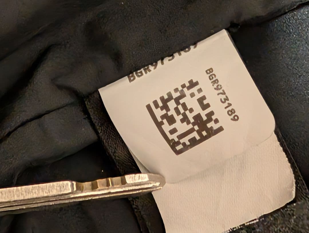 THE NORTH FACE レトロマウンテンライトジャケット US\" L\"