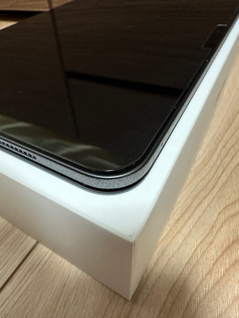 【… 】Apple 11インチiPad Pro（M4）256GB