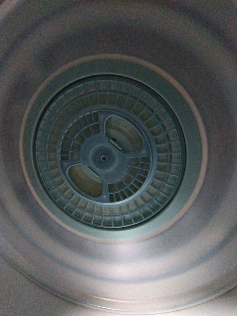 東芝 衣類乾燥機 ED-60C 6.0kg ターボパワー乾燥 2019年製