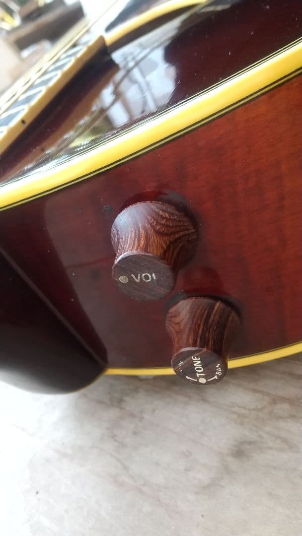 レオさん専用 ARIA Elecord AE-100 エレアコギター