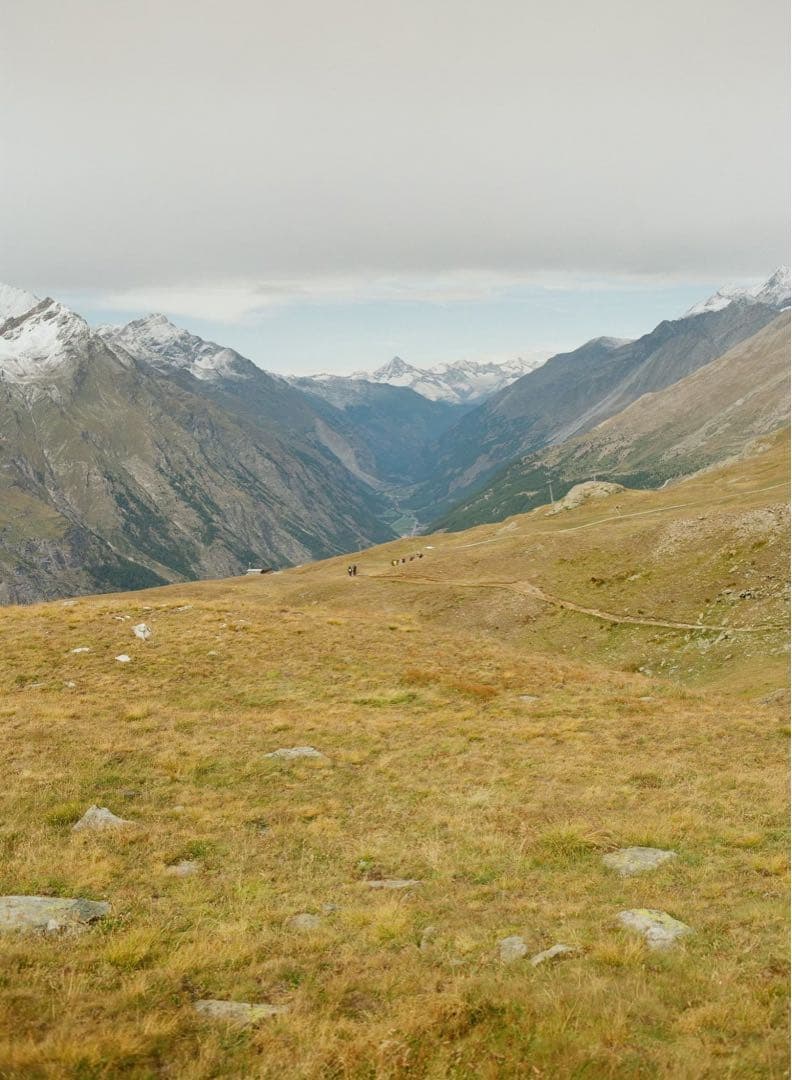 【美品】Mamiya 645super セット