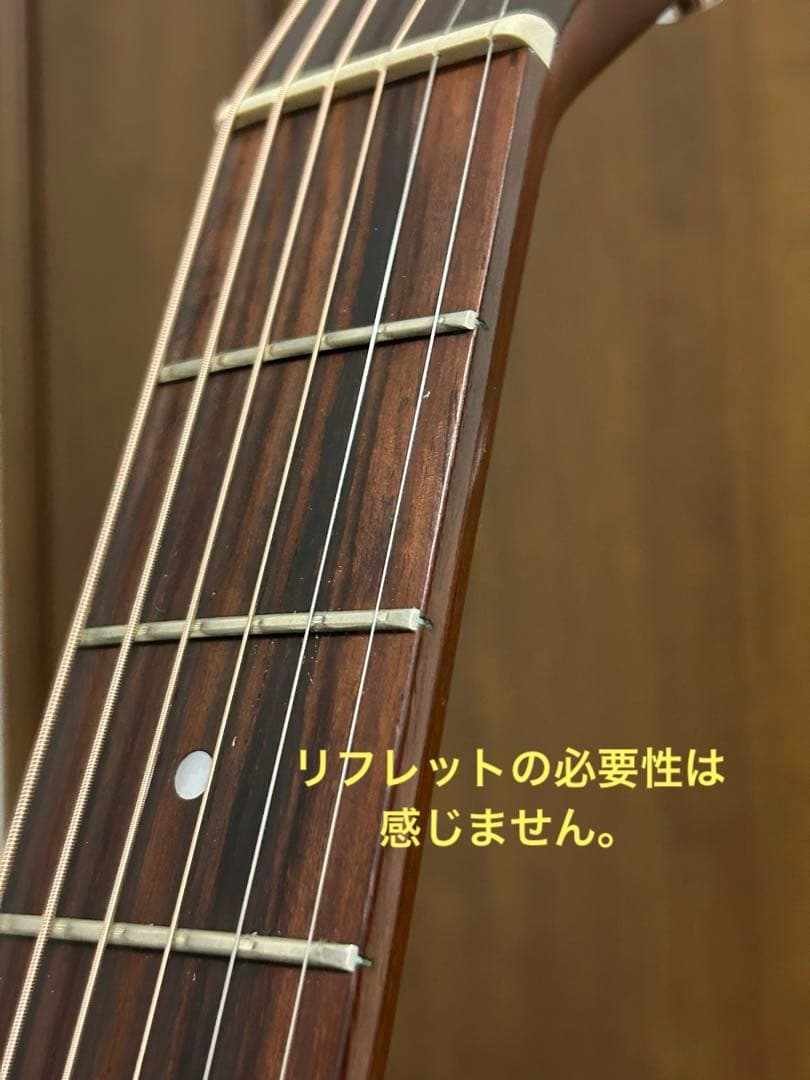 シーガル M6 スプルース　アコースティックギター