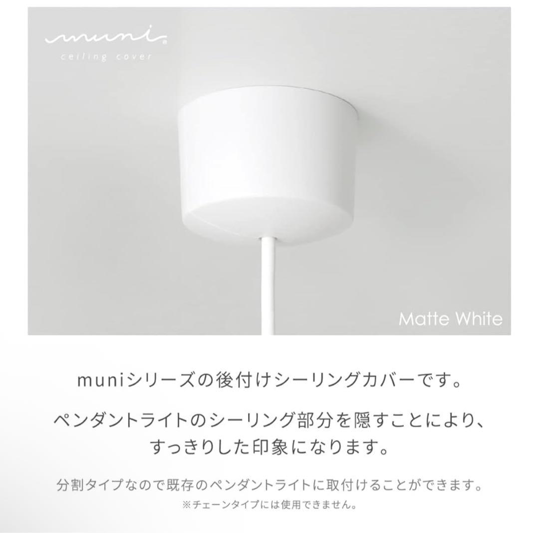 AQUA ODELIC ペンダントライト OP 252 545LR