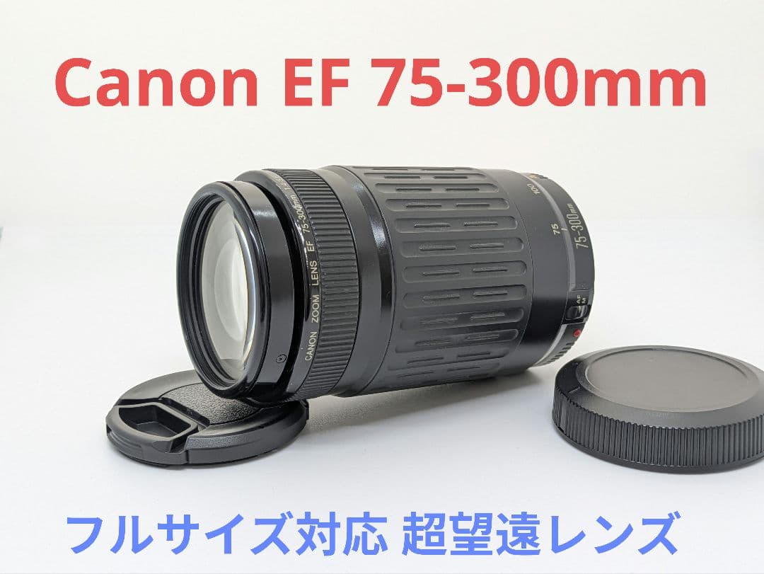 2月5日限定販売♪【超望遠レンズ】Canon EF 75-300mm