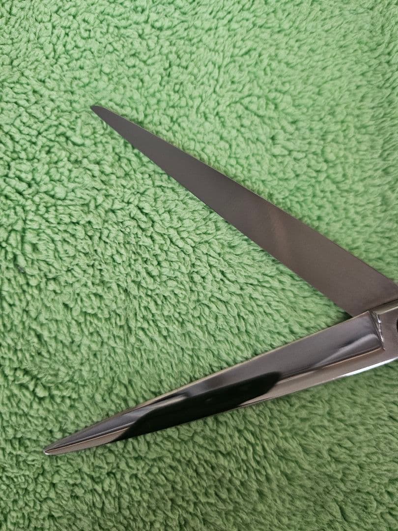 ルミエールシザー