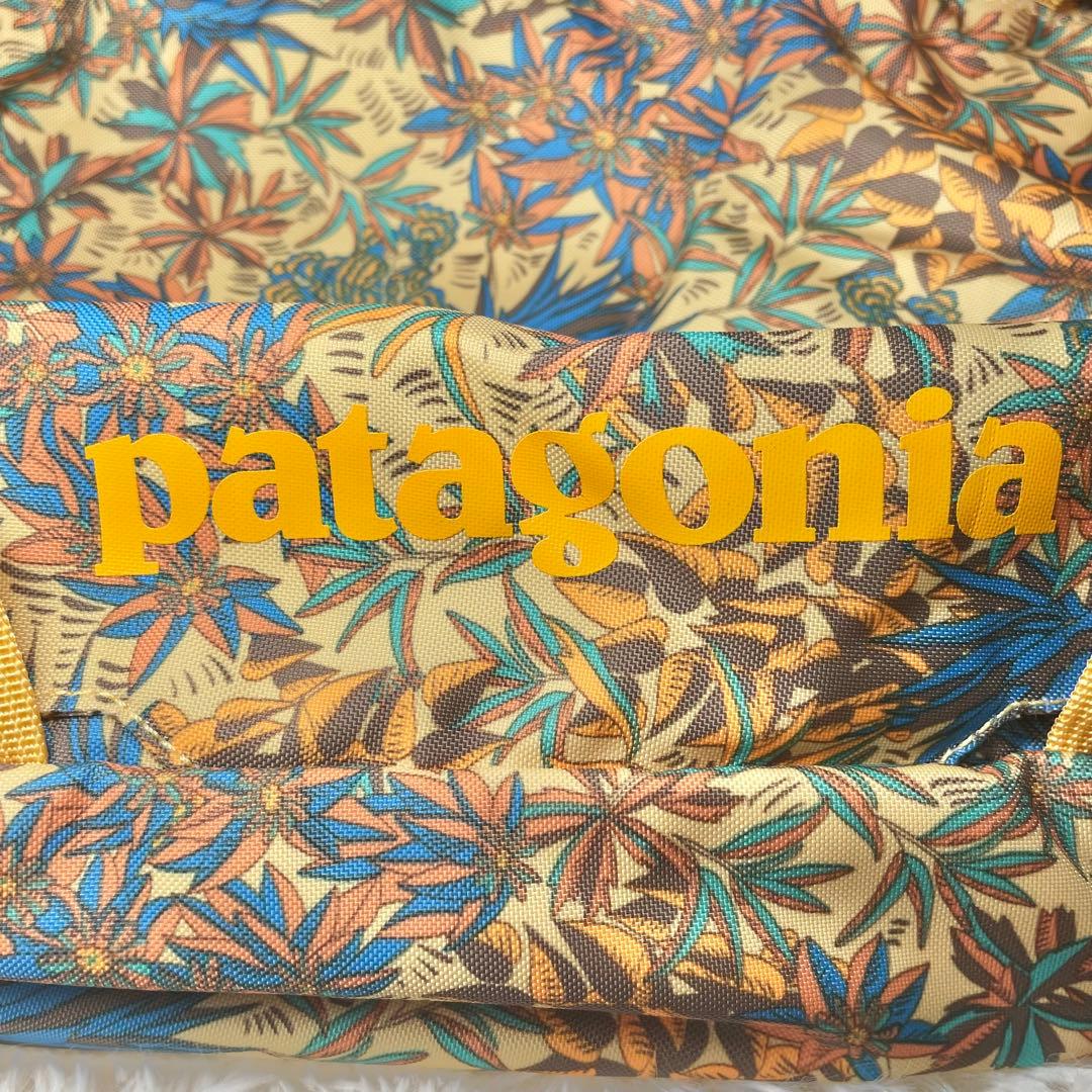 【廃盤カラー】パタゴニア　ボディバッグ　ショルダーバッグ　アトムスリング y2k