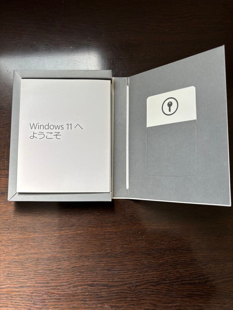 Windows 11  USBメモリ版