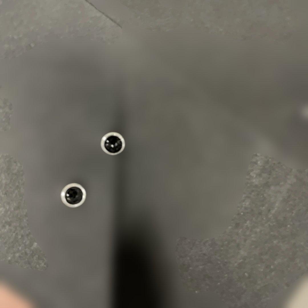 イヤホン SENNHEISER IE900