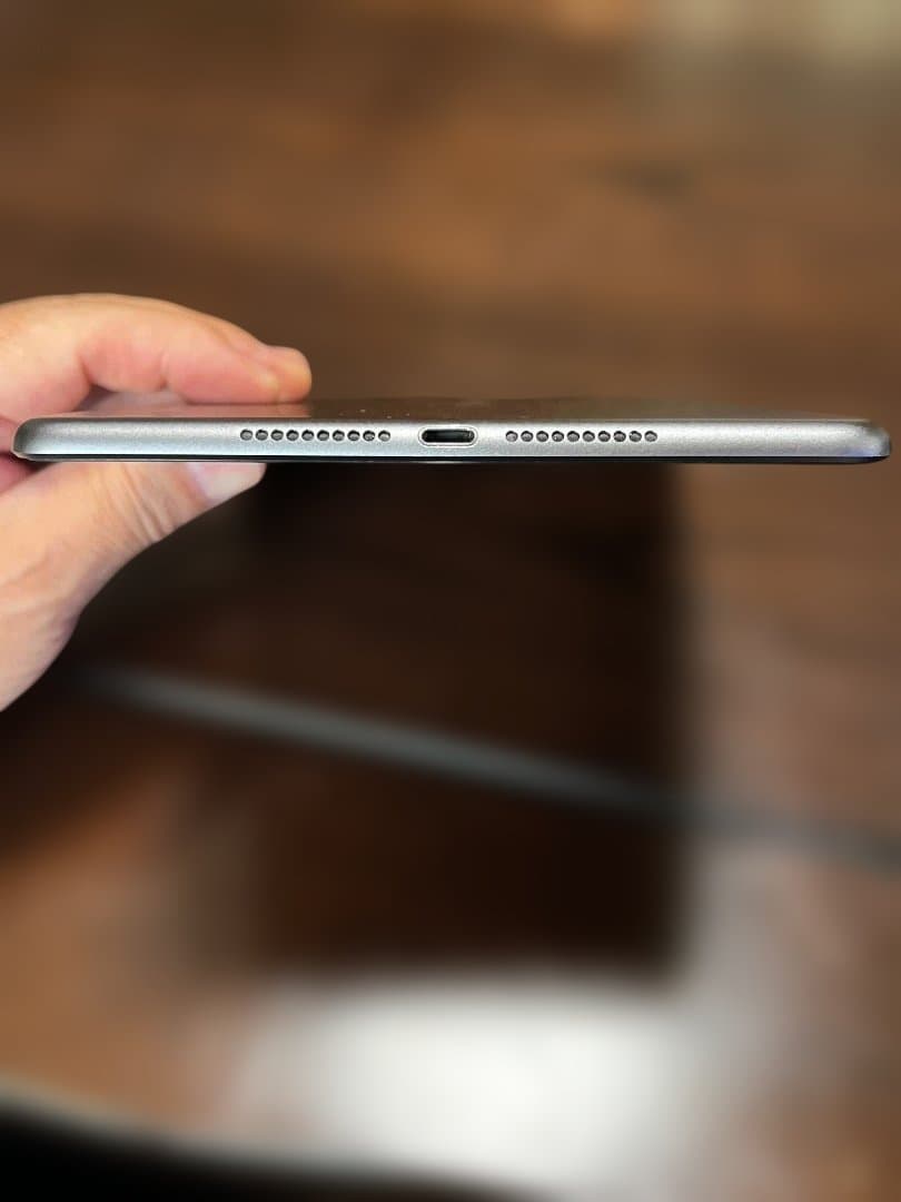 apple ipadmini 5世代 256GB WIFI＋セルラー