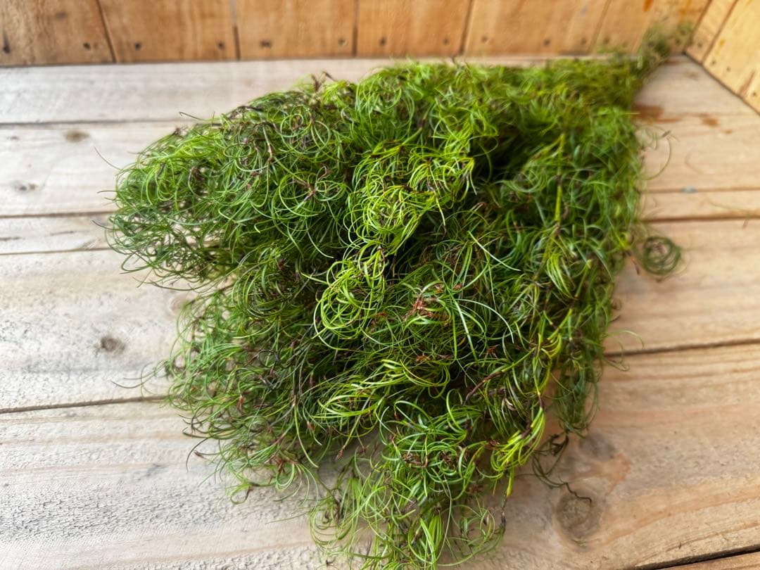 コスモスン様 リクエスト 4点 まとめ商品