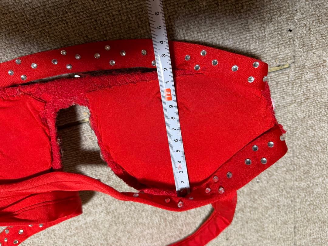 レッドベリーダンスセットアップ