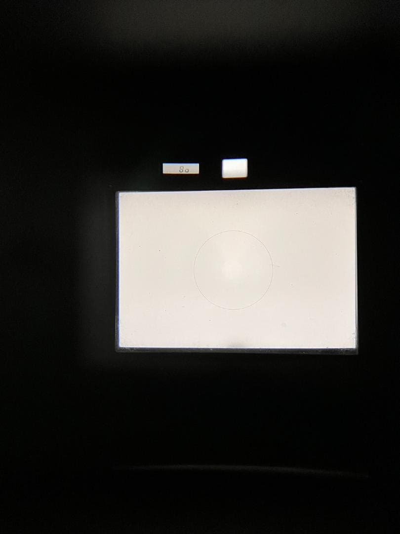 美品 NIKON ニコン F3 モルト新品交換済 B187