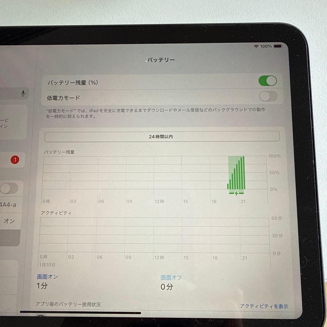 iPad mini 第6世代　純正ケースおまけ　256GB スペースグレイ