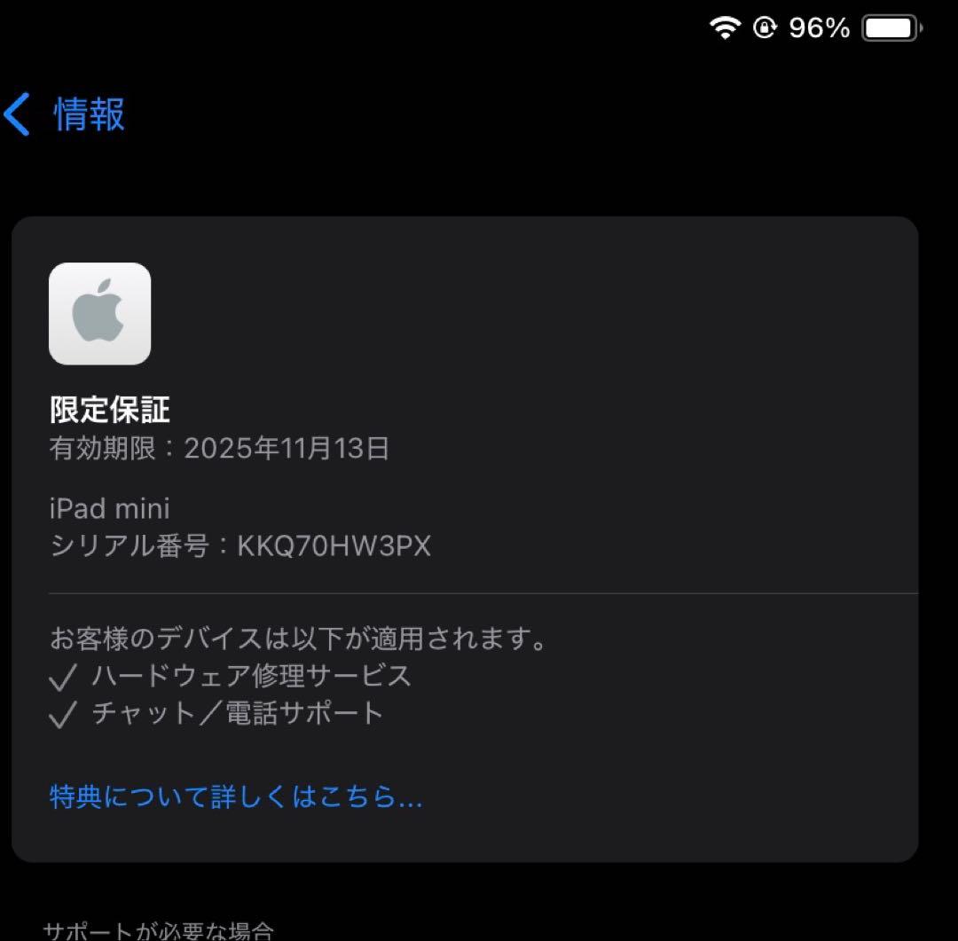 【美品】Apple iPad mini A17 Pro 8.3インチ 128GB