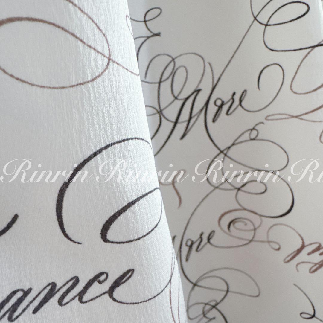 専用です。ANAYI カリグラフィープリントビジュータイ ブラウス 38