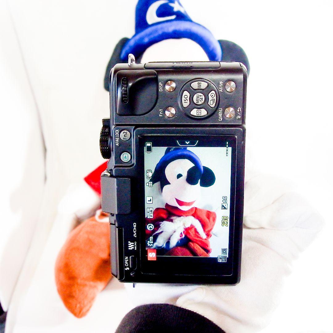 完動美品 パナソニック panasonic DMC-GX1 ブラック