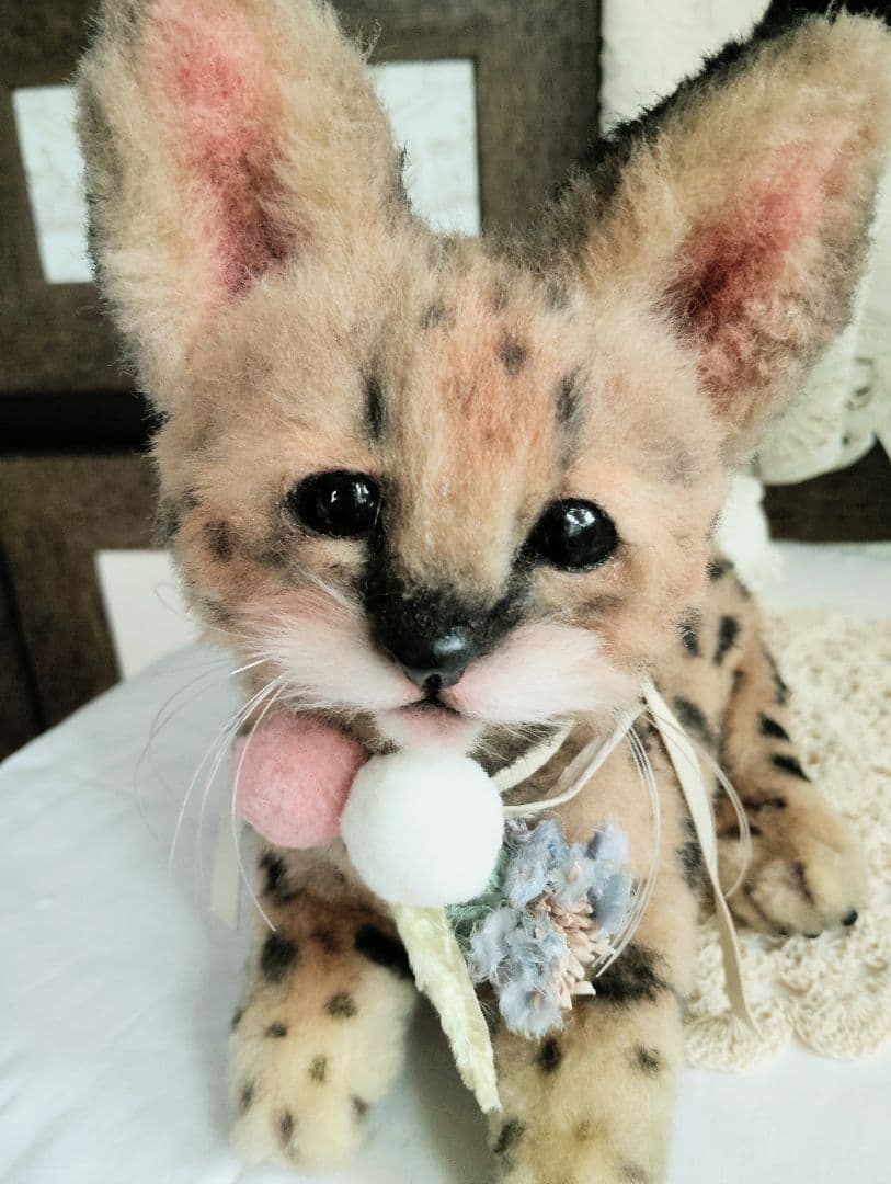 生後２ヶ月♡ベビーサーバルキャット♡アートドール♡ぬいぐるみ♡子猫ちゃん♡