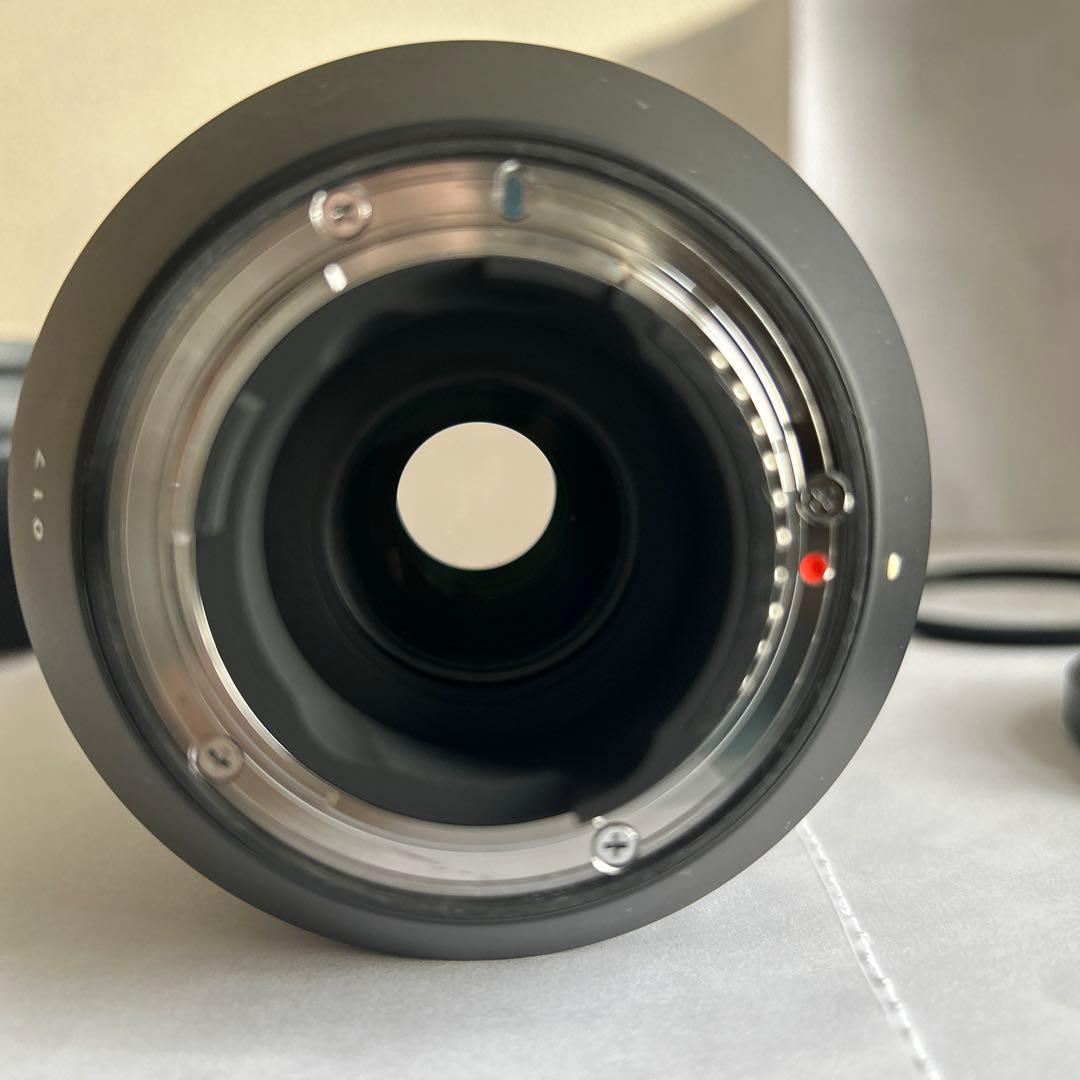 SIGMA 100-400mm F5-6.3 DG DN OS (ニコンF)