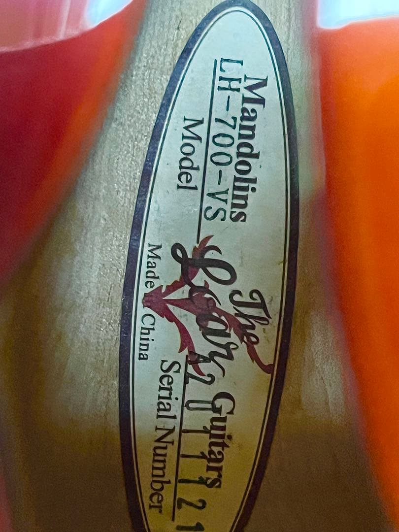 フルアコ Loar LH-700