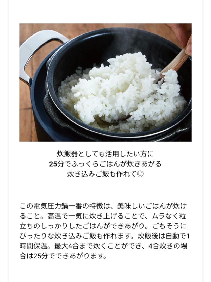 Re·De Pot 電気圧力鍋 PCH-20LB ブラック BLACK