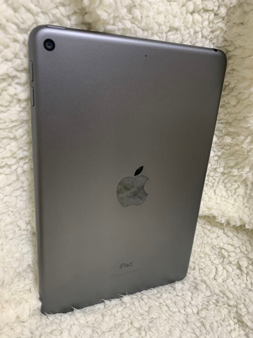 iPad mini 64GB 第5世代 100%充電OK Wi-Fi モデル