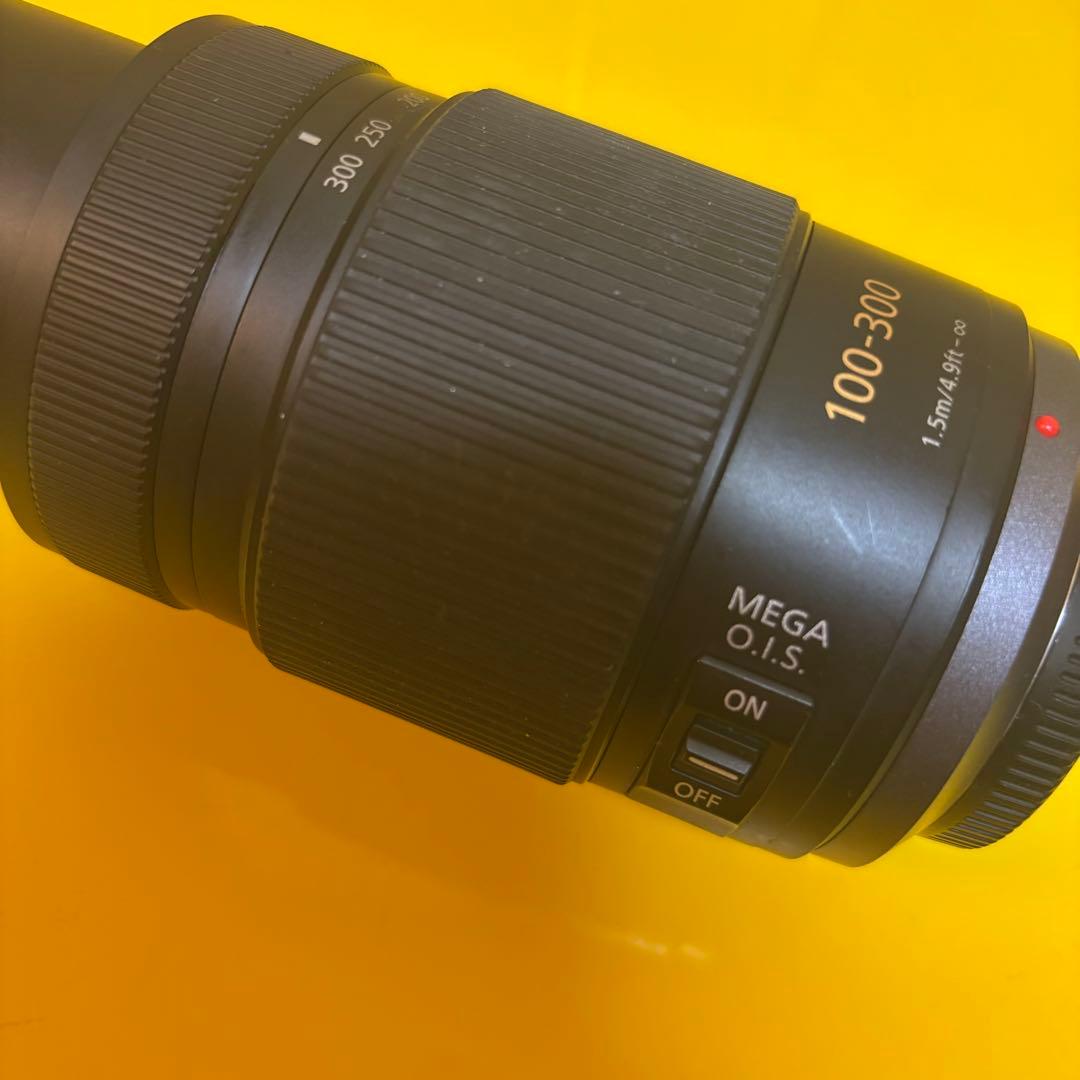 Panasonic LUMIX G VARIO 100-300mmF4-5.6Ⅱ