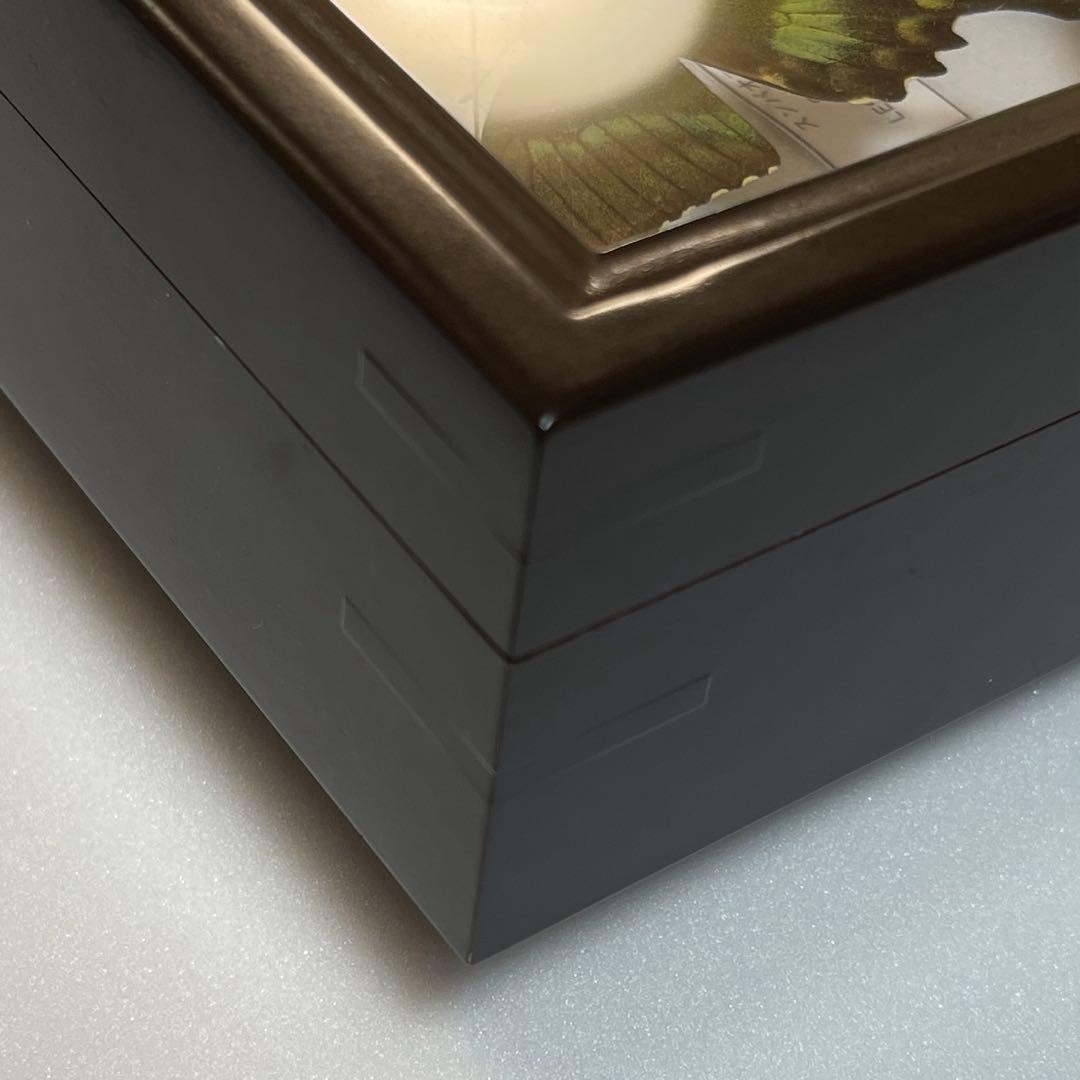 美しいアゲハ蝶標本、ドイツ箱売り