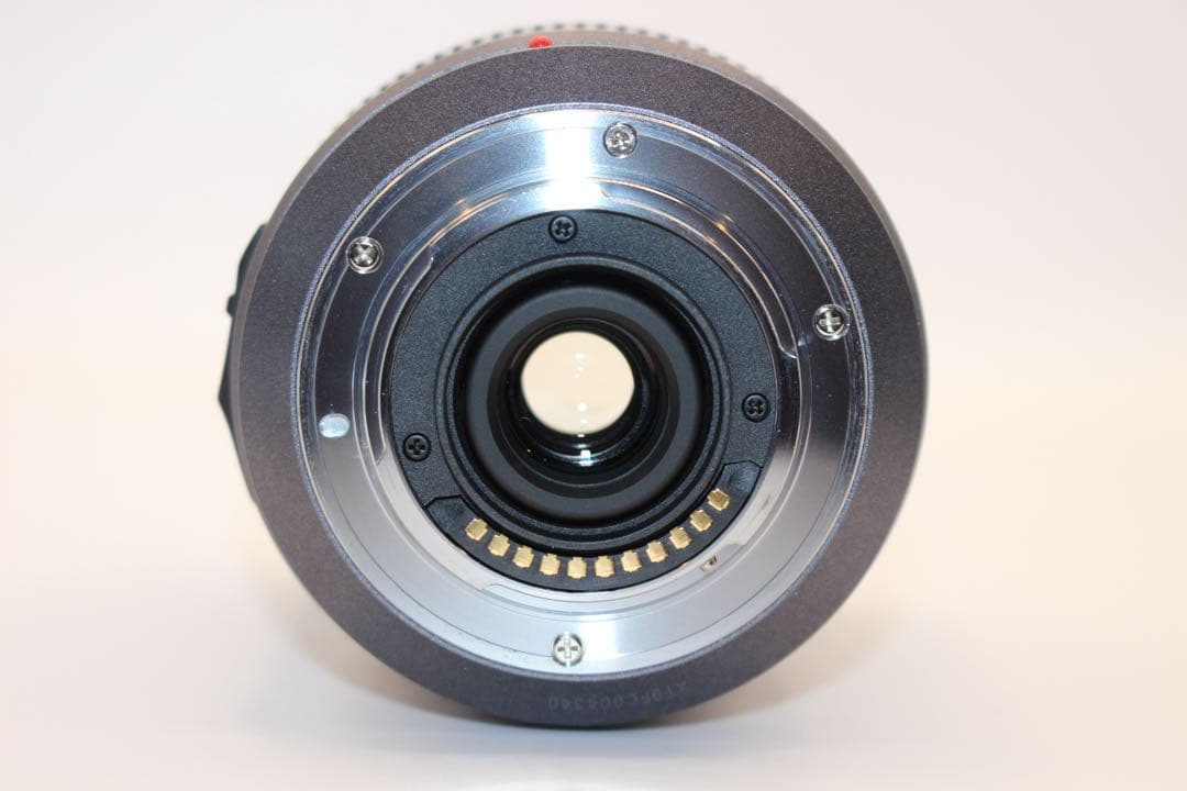 ★ショット数3993回★ LUMIX DMC-GH1 レンズキット　ミラーレス