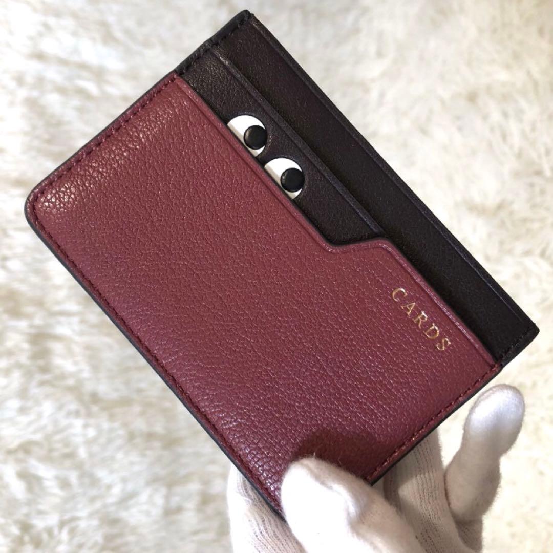 未使用✨アニヤ ハインドマーチ　アイズ カードホルダー 名刺入れ