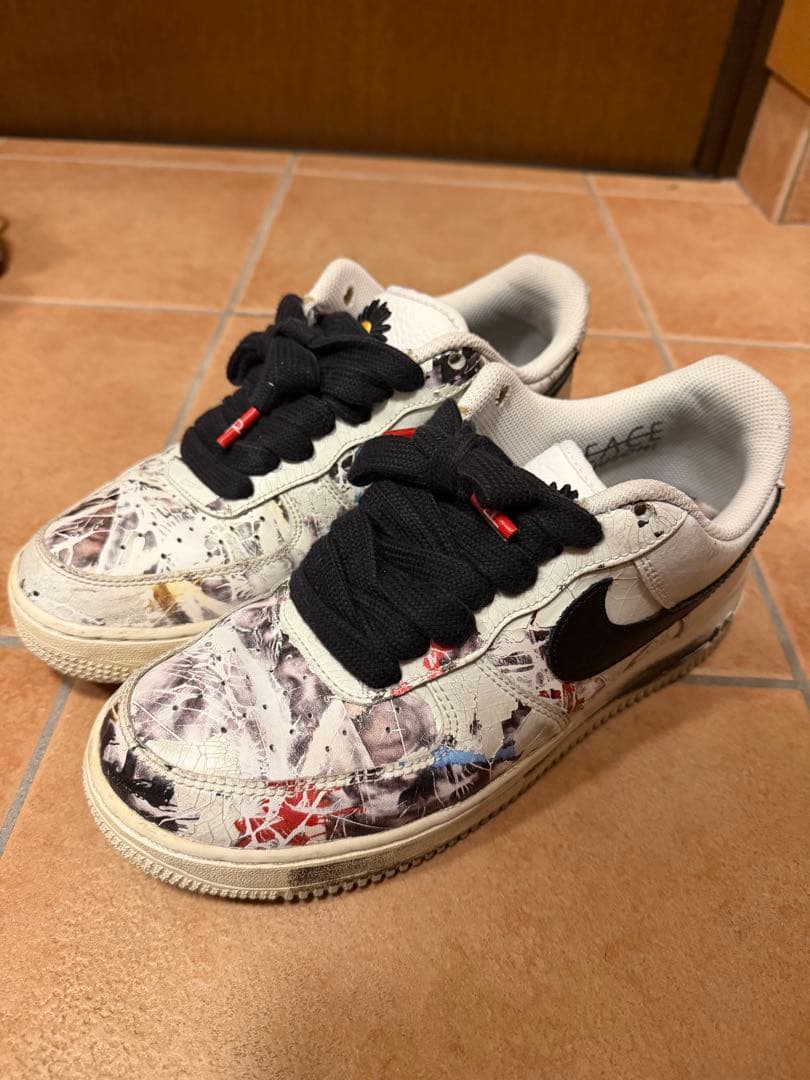 ナイキパラノイズ　26cm