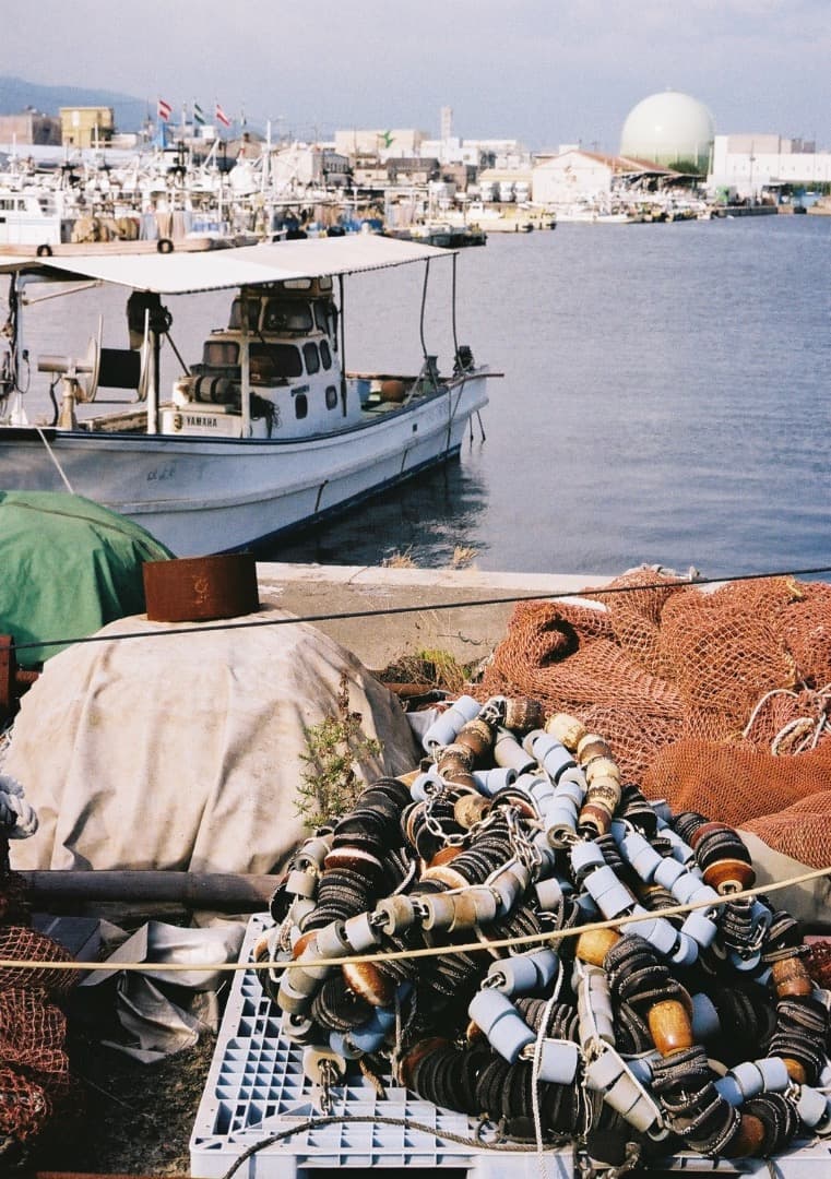 【動作品】Canon AE-1Program＋NEW FD 50mm f1.8