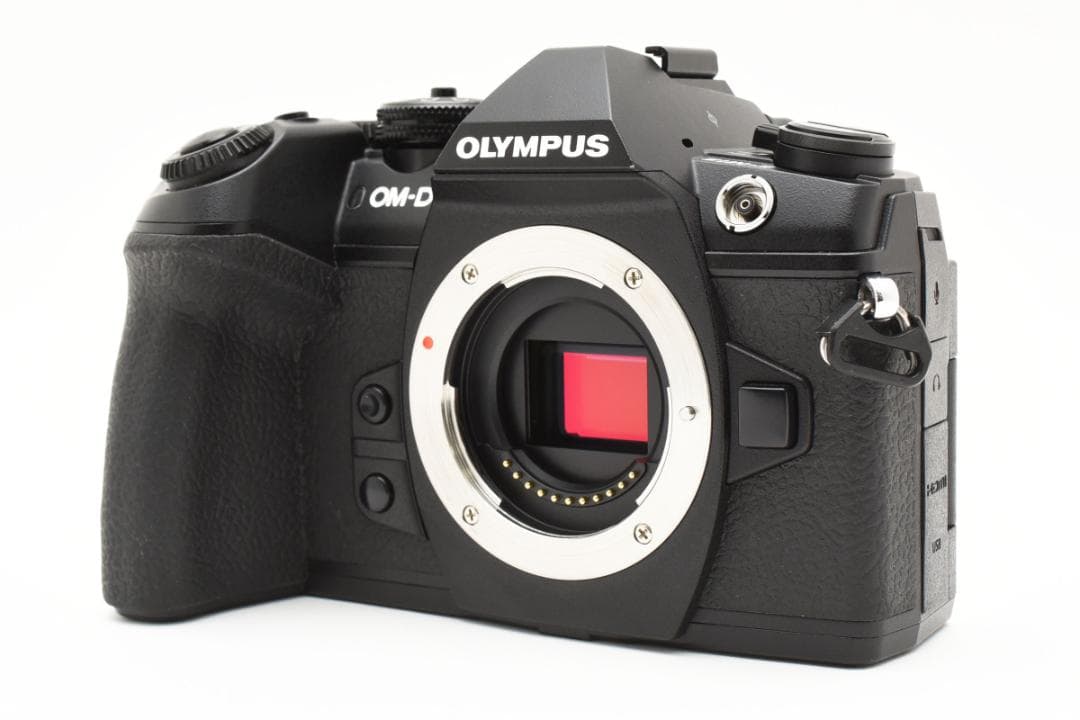 ■ショット数13912回■OLYMPUS OM-D E-M1 Mark II