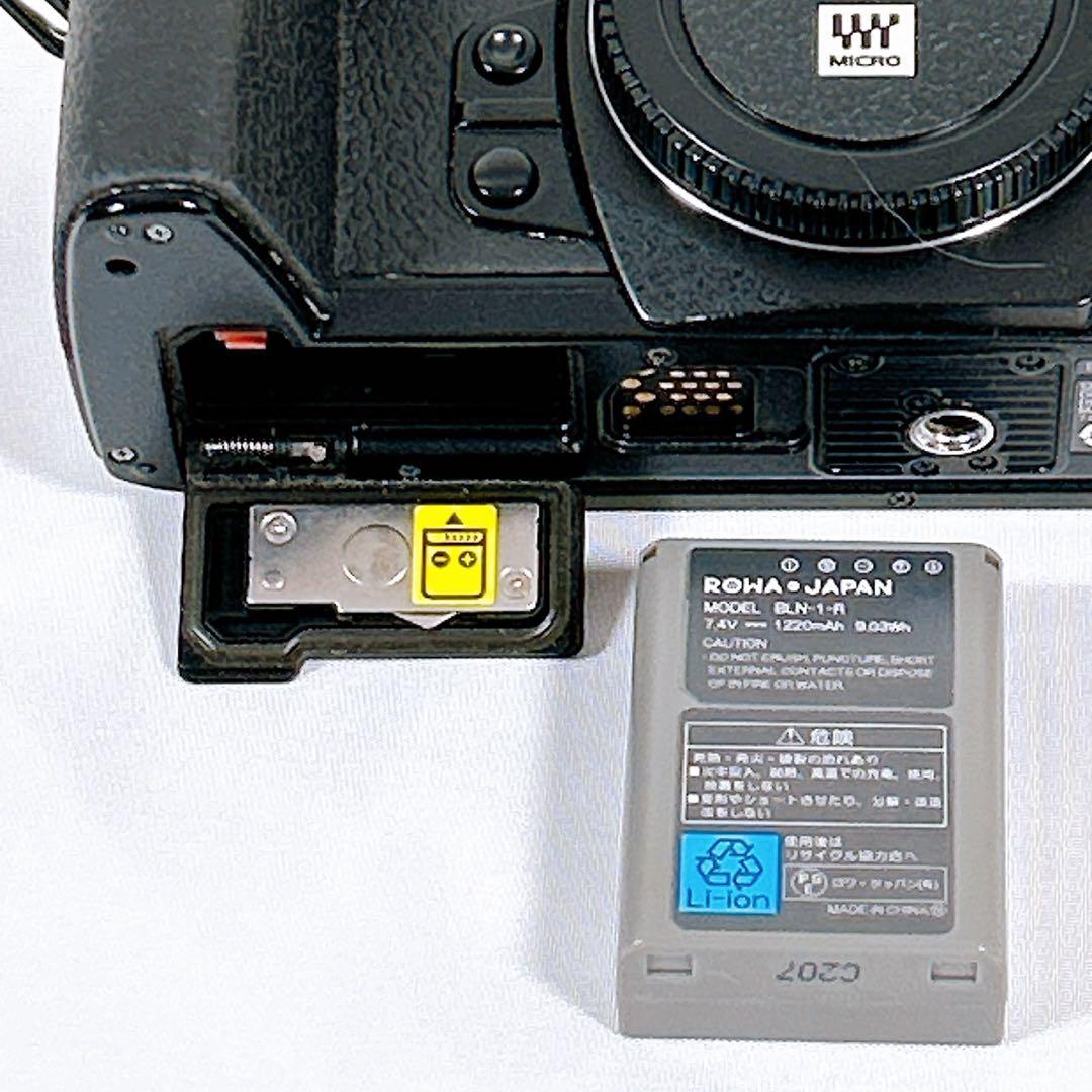 【良品】 OLYMPUS OM-D ミラーレス一眼 E-M1 ボディ