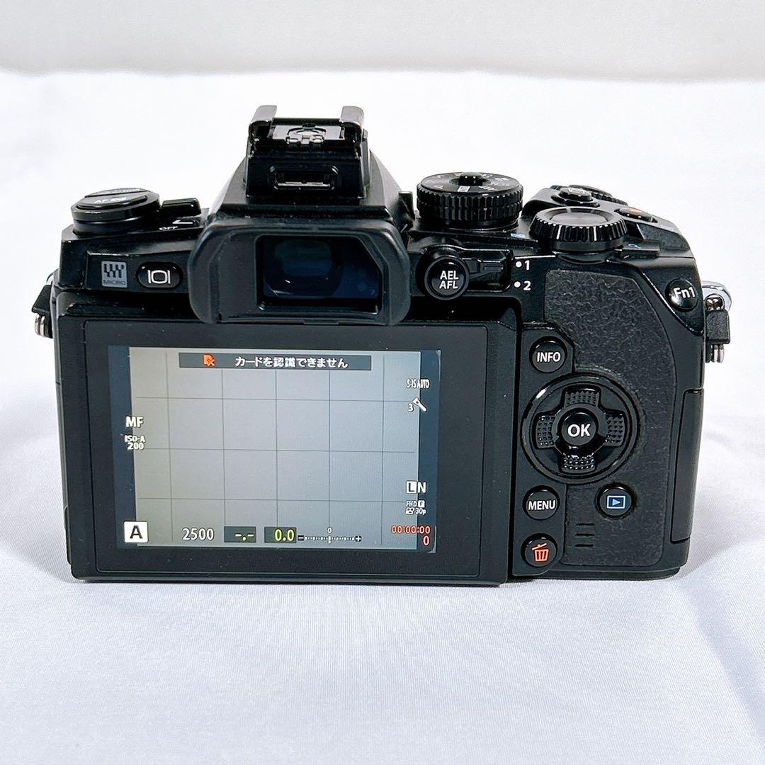 【良品】 OLYMPUS OM-D ミラーレス一眼 E-M1 ボディ
