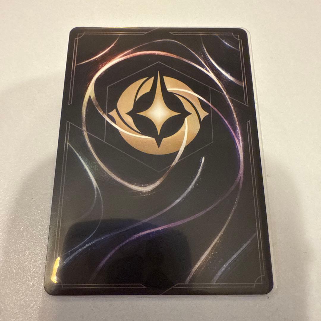 アナ　エンチャンテッド　ディズニーロルカナ