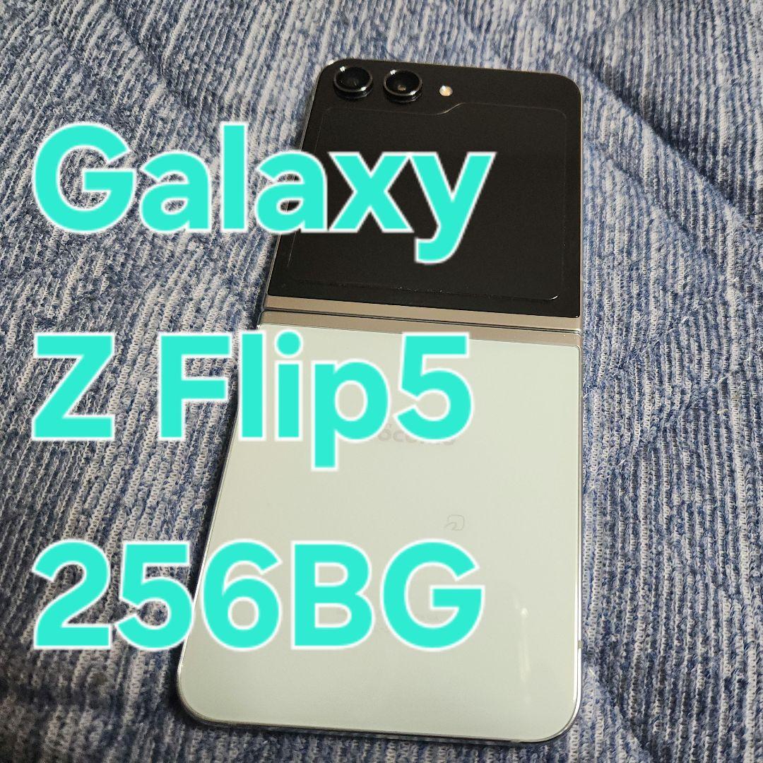 Galaxy Z Flip5 ミント docomo 256