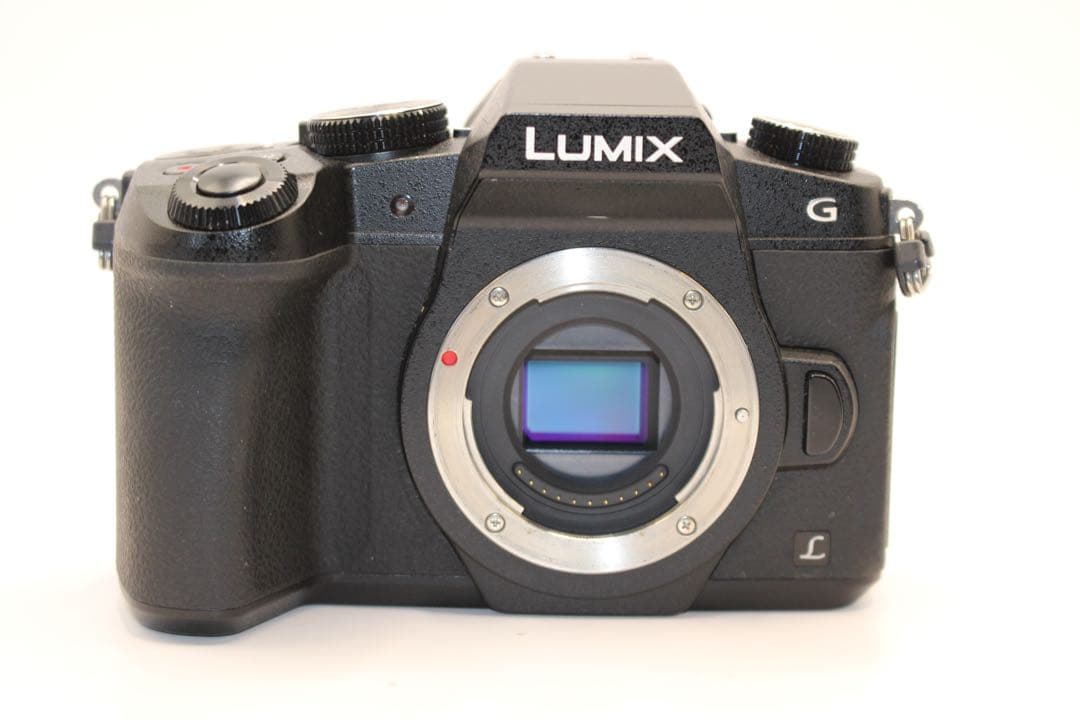 ★ショット数2622回★ LUMIX DMC-G8 レンズセット　ミラーレス