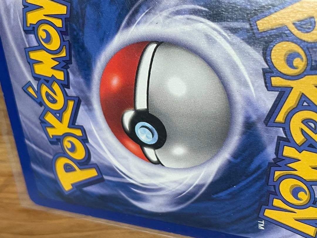 【値下げ】シャドーレス　ライチュウ　Raichu 英語版 shadow less