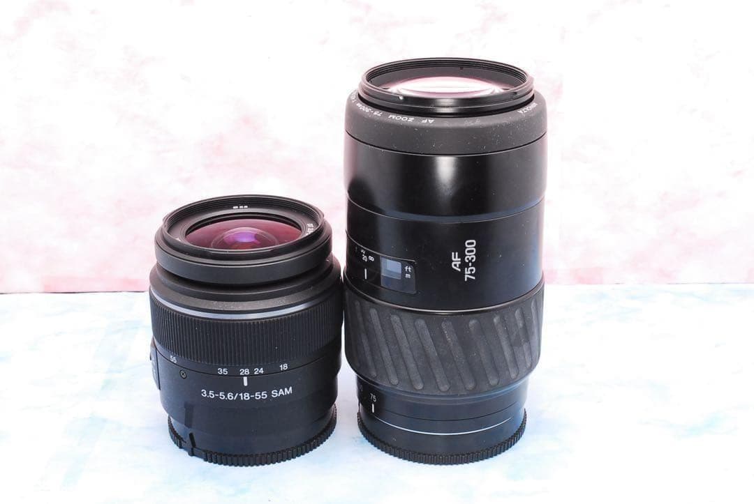 ショット数少✨SONY α65✨Wレンズ✨一眼レフカメラ✨高速連写＆高画質