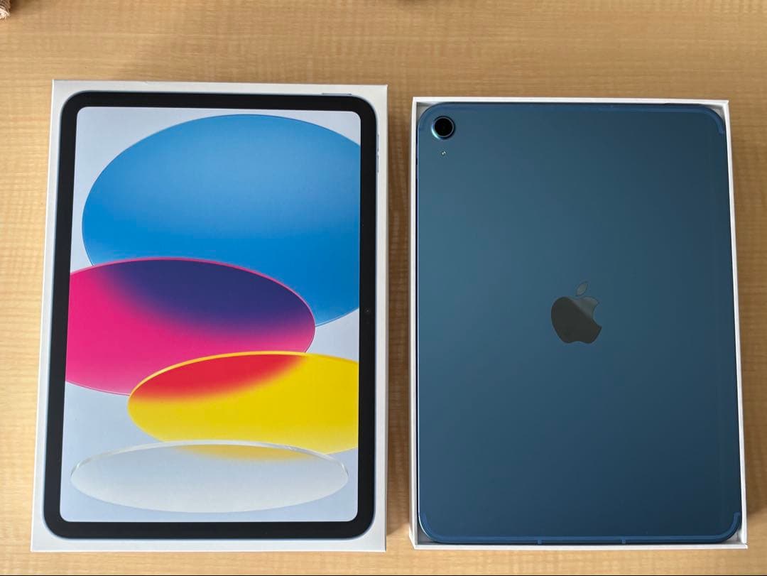 Wi-Fi + Cellular 第11世代Apple iPad（A16）ブルー