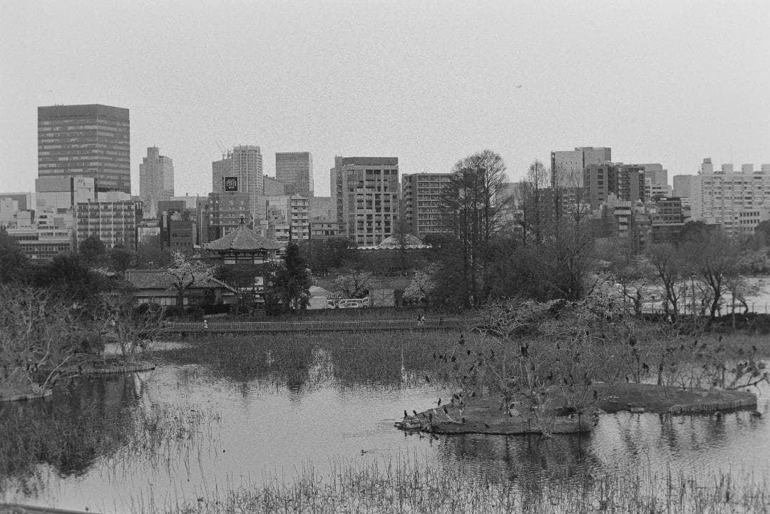 フィルムカメラ Nikon FE2 ai nikkor 50mm f2