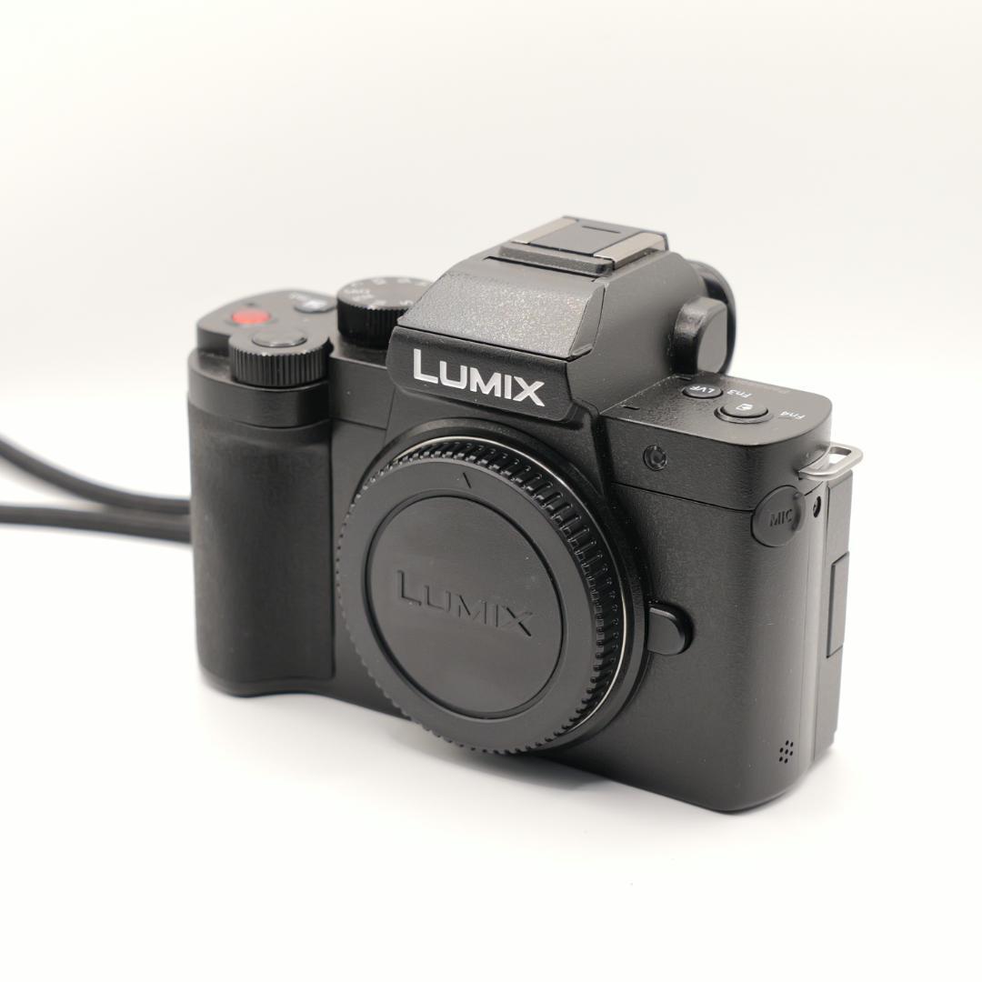 Panasonic ミラーレスカメラ G100D