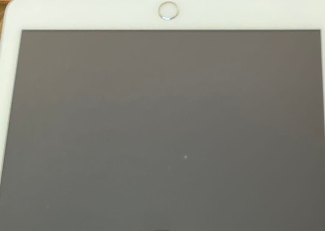 【完動品】iPad 第5世代 32GB SIMフリー 【すぐ発送】【付属品】