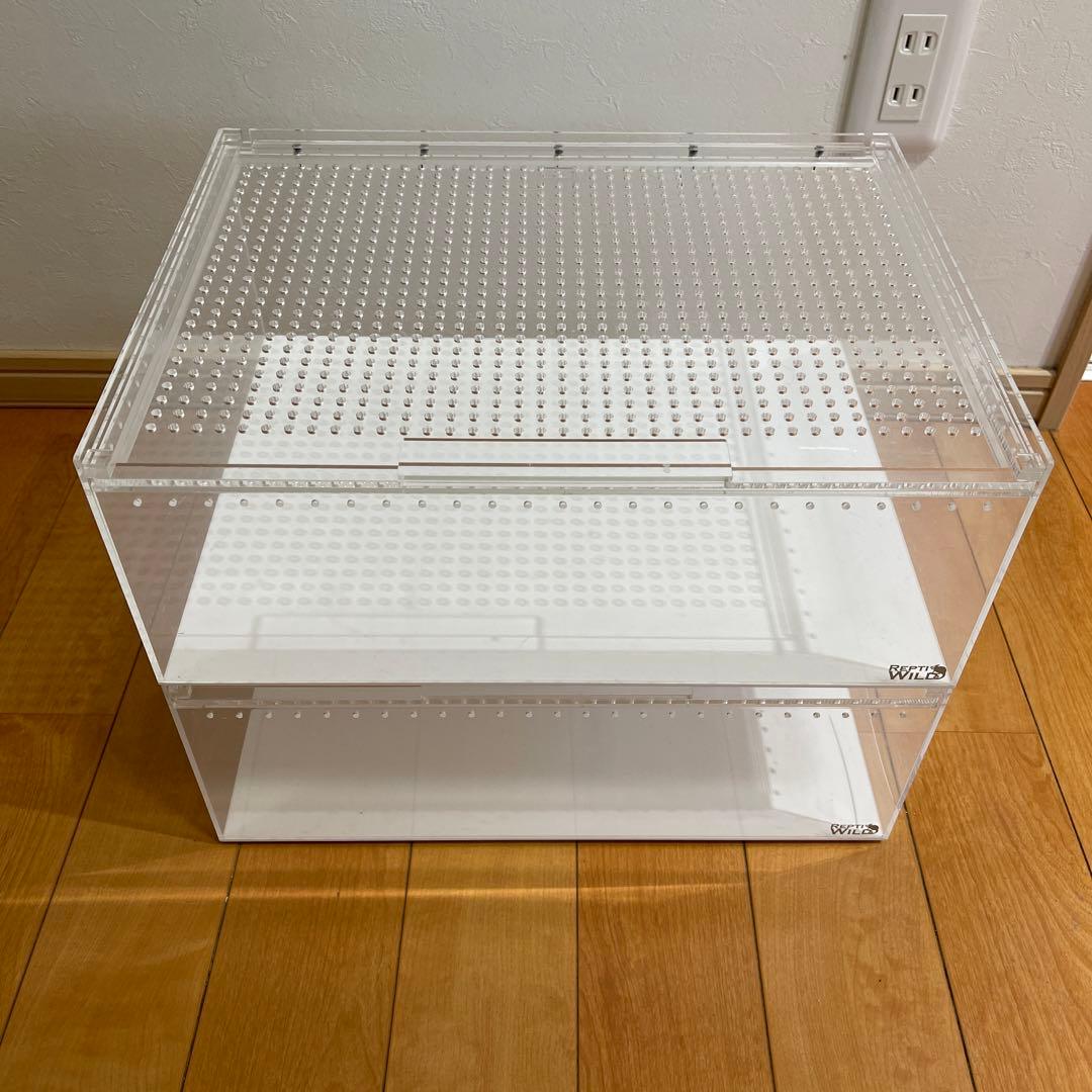 レプタイルボックス ワイド ２個セット