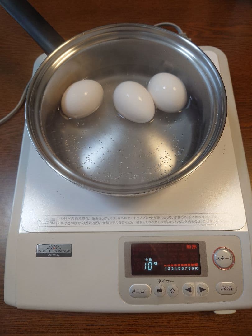 Amway アムウェイ インダクションレンジ 97年製 E-3110J