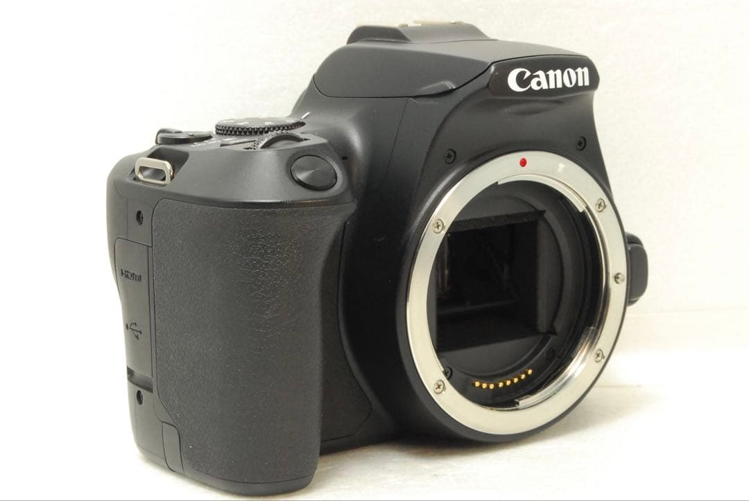 Canon EOS Kiss X10 ❤️超望遠300mm ダブルレンズ キヤノン