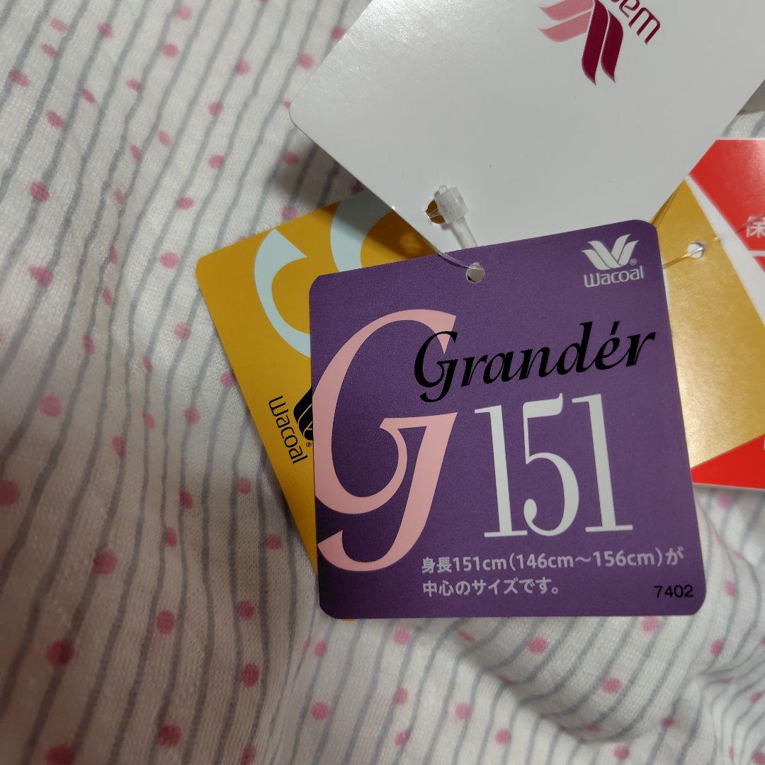 ワコールスリープパジャマ グランダー　新品　 L P あったか素材